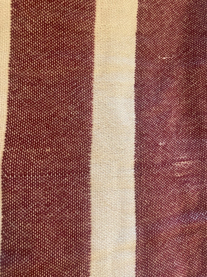 Minor Inconsistencies Ruby Piramit Throw
