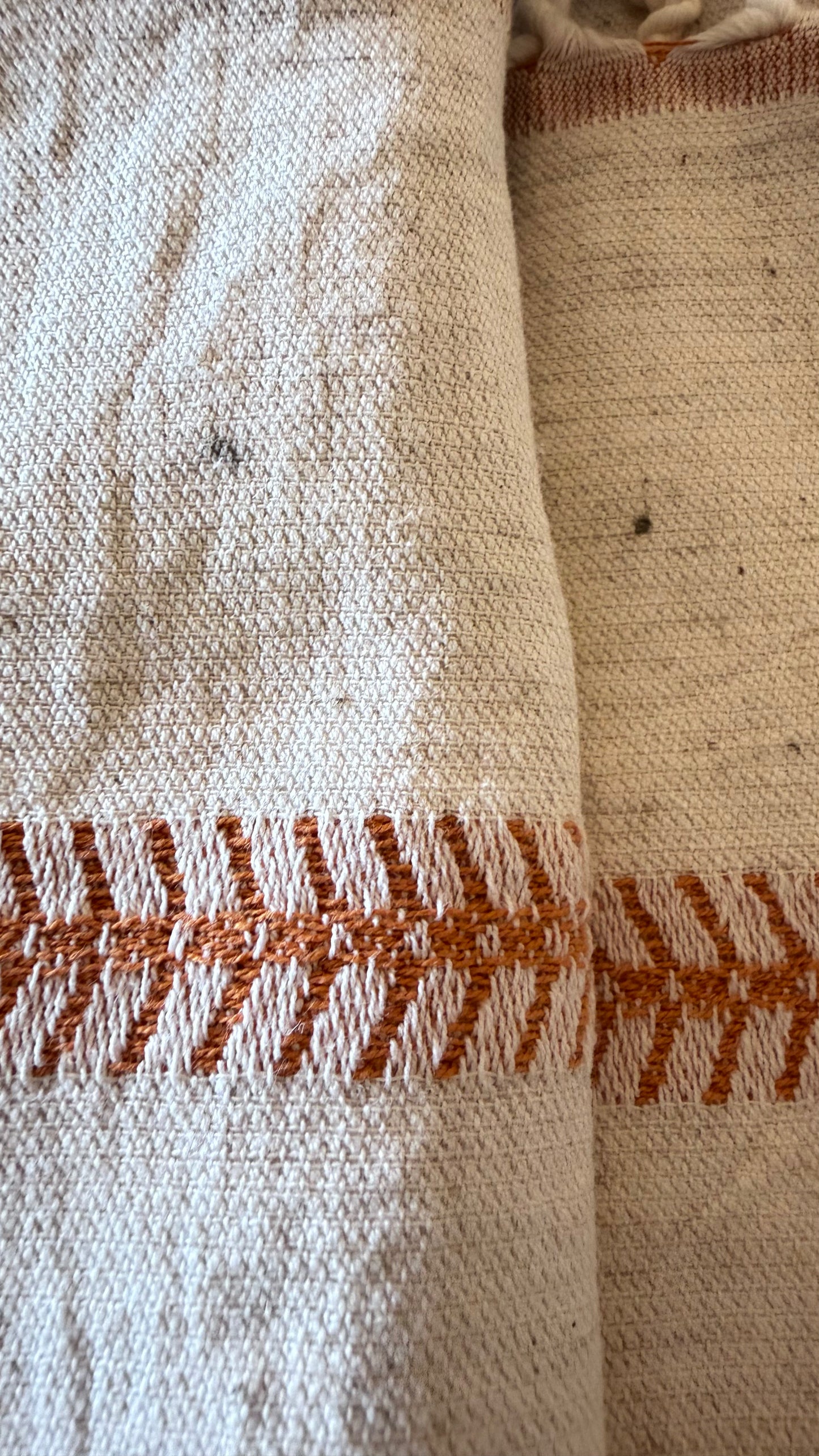 TGTBT Sefa Orange Clay (2 spots)